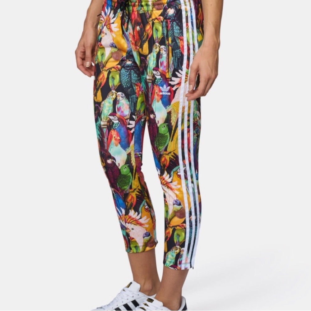Adidas birds/ parakeet passaredo crop track pants XS NWOT